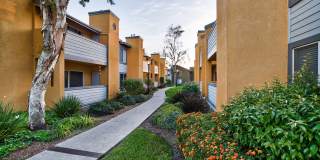 River Ranch Gallery 30