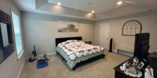 124 Spring Pine Lane Gallery 23