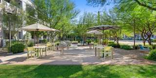 Nova North Valley Gallery 26