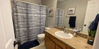 $0 DEPOSIT OPTION. 4 BEDROOM 3 BATHROOM HIGHLANDS RANCH HOUSE NEAR CHATFIELD STATE PARK Gallery 25