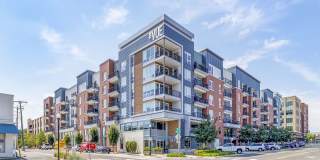 The Vue Gallery 48