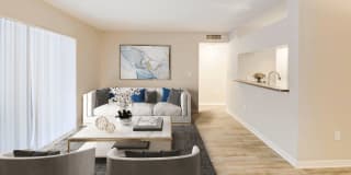 Coconut Palm Club Gallery 61