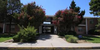 Somerset Park Gallery 10