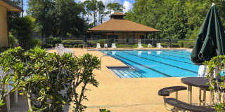 13009 BENT PINE Court E Gallery 4
