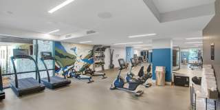 119 Wood Road unit: 107 Gallery 45