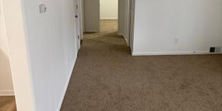 PRICE REDUCED!!4 bedroom 1 bath newly remodeled ranch in Dearborn Heights Gallery 11