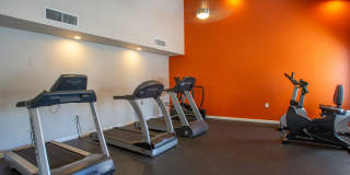 Icon on Spanish Trail Gallery 3