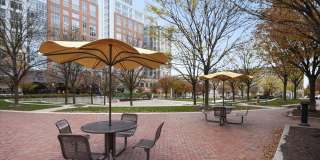 11705-A SUMMERCHASE Circle Gallery 16