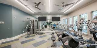 Harbor Cove Gallery 9