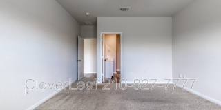 2126 Silver Maple Gallery 21