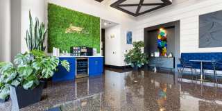 Mosaic Westshore Gallery 2