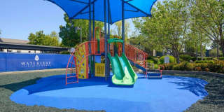 Vista Waterleaf Apartments Gallery 51