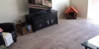 Beautiful 4-Bedroom Home South Fort Collins! Gallery 4