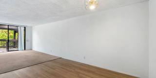 7742 Redlands St Gallery 2