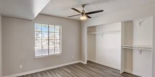 Rise on Cactus Gallery 37