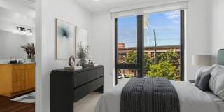 The Olive The Olive Gallery 39