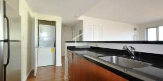 Luxury Fenway Apartment minutes walk to NEU and more!  Laundry in Unit! Pet Friendly Gallery 5