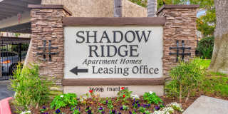 Shadow Ridge Gallery 23
