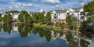Columns at Wakefield Gallery 49
