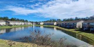 6694 ARCHING BRANCH Circle Gallery 14