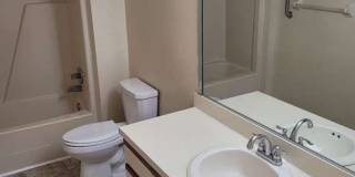 Hollybend Gallery 12