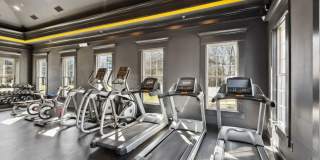 Alvista Bowie Gallery 26