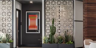 Broadstone Vin Gallery 18