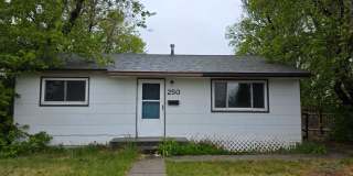 250 Cribbon Ave 250 Cribbon Ave Gallery 1