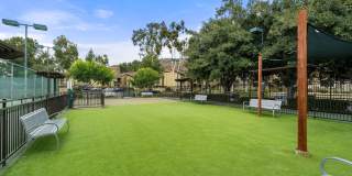 Park Pointe Gallery 35