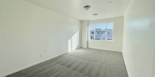 Stone View on McQueen Gallery 13