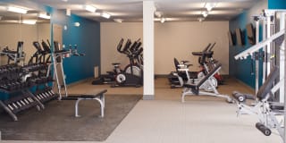 Artistry Apartments Gallery 27