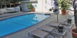 Luxurious 2 Bedroom, 2 Bath Condo in the Heart of Prime Hollywood Gallery 23