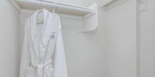 Vineyards Gallery 121