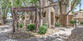 Avery at TownCentre Gallery 13