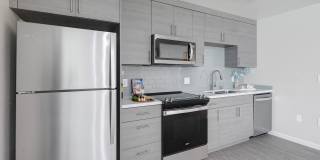 Almaden Lake Village Gallery 18