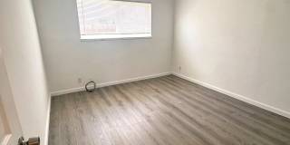 302 Dumont Ave Gallery 9