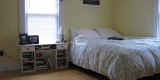 Nicely renovated 4 bed in Brighton with in-unit laundry! Gallery 4