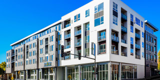 Pure Lowry Gallery 37