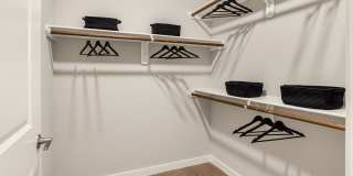 Alexan Lake Olympia Gallery 12