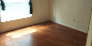 1003 Lumsden Trace Circle Gallery 33