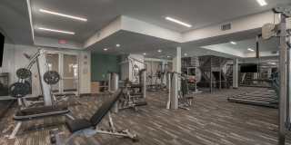 Windsor Mission Valley Gallery 17