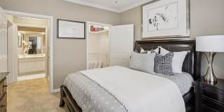 The Saxony Apartments The Saxony Apartments Gallery 18