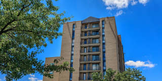 Whitestone at Landmark Gallery 3