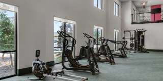 Forena Revelstoke Gallery 22