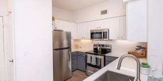 Whitney at The Heights Gallery 3