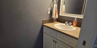 Bremerton 3BR Single Family: Newly Renovated, Furnished, Cats/Dogs OK Gallery 27