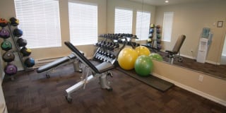 Black Lake Gallery 41