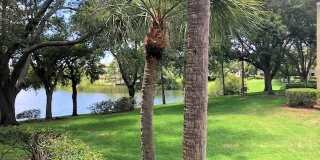 2690 CORAL LANDINGS Boulevard Gallery 19