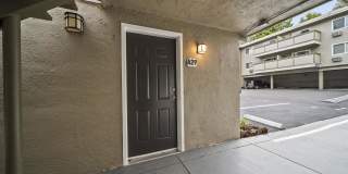 Park Lafayette Gallery 87