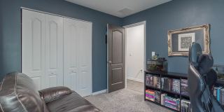 12634 CACAO TREE Trail Gallery 24